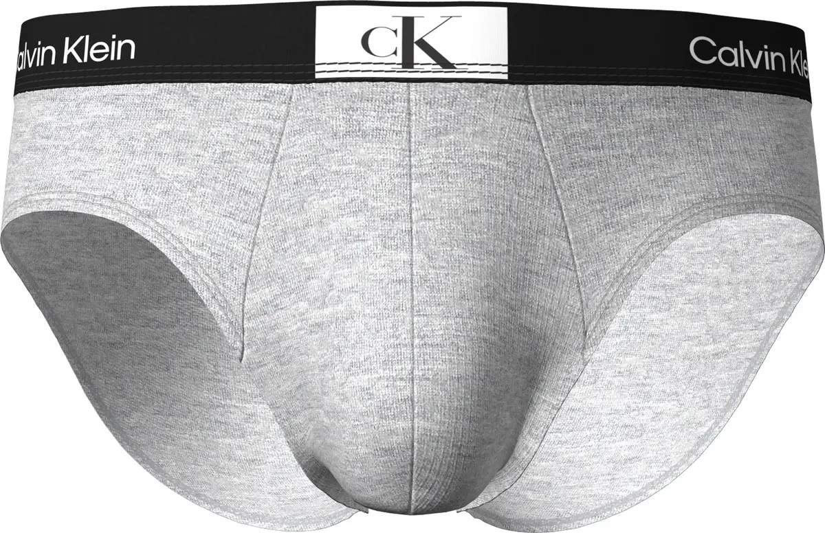 Calvin Klein HIP BRIEF Erkek Gri Slip