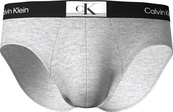 Calvin Klein HIP BRIEF Erkek Gri Slip
