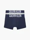Calvin Klein 2PK TRUNKS Erkek Siyah Boxer Set
