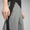 Puma BMW MMS SWEAT PANTS REG/CC Gri Erkek Eşofman Altı