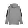 Puma EVOSTRIPE Core FZ Hoodie Gri Erkek Fermuarlı Üst