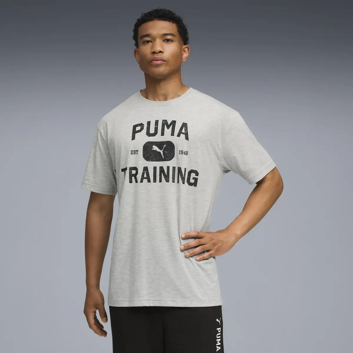 Puma M GRAPHICS TRAIN LOGO RLXD T Gri Erkek T-Shirt
