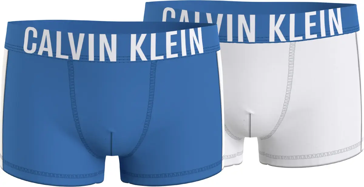 Calvin Klein 2PK TRUNK Erkek Mavi Boxer Set