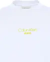 Calvin Klein SS ACID WASH 20S CN, YAA Beyaz Erkek T-Shirt & Polo