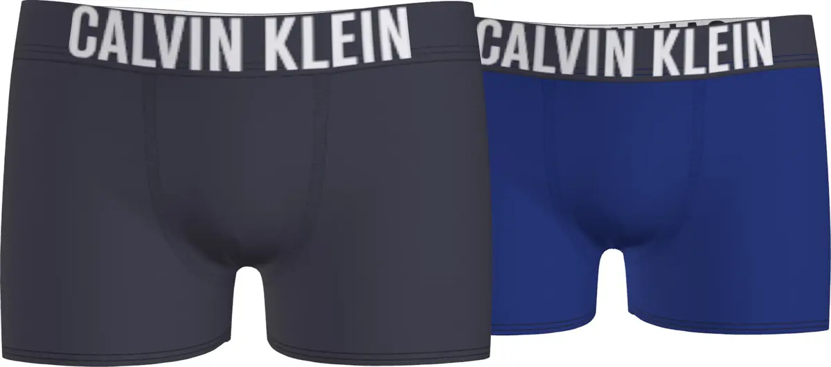 Calvin Klein 2PK BOXER BRIEF Erkek Mavi Boxer Set