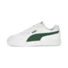 Puma Caven Beyaz Erkek Spor Ayakkabı
