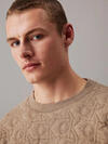 Calvin Klein L/S SWEATSHIRT, QQD Erkek Kahverengi Sweatshirt