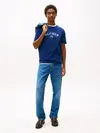 HILFIGER FLOCK TEE, C7G