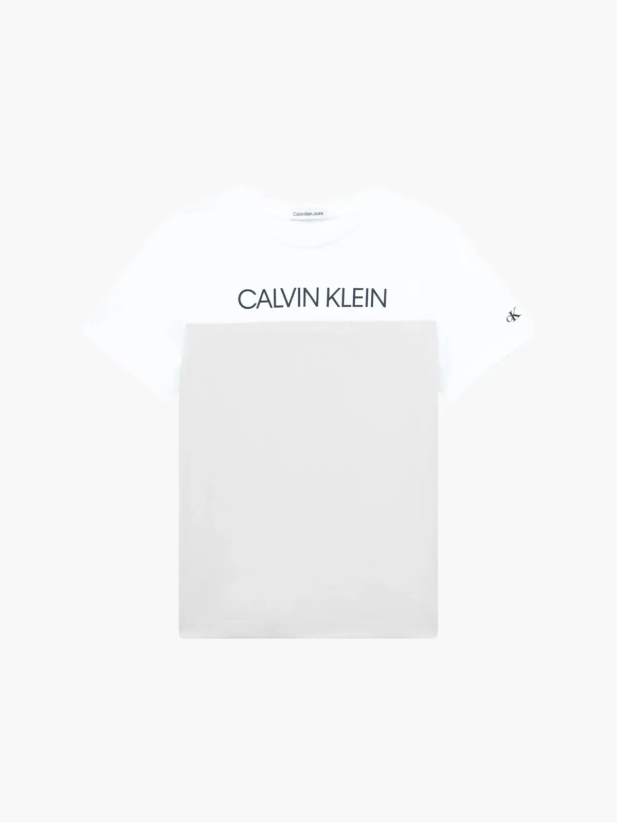 Calvin Klein CLR BLOCK T-SHIRT Erkek Krem T-Shirt