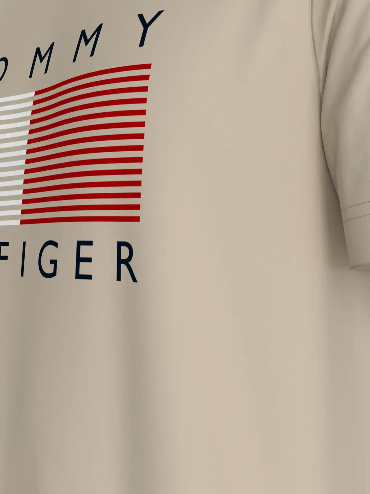Tommy Hilfiger BIG GRAPHIC S/S TEE Erkek Beyaz T-Shirt