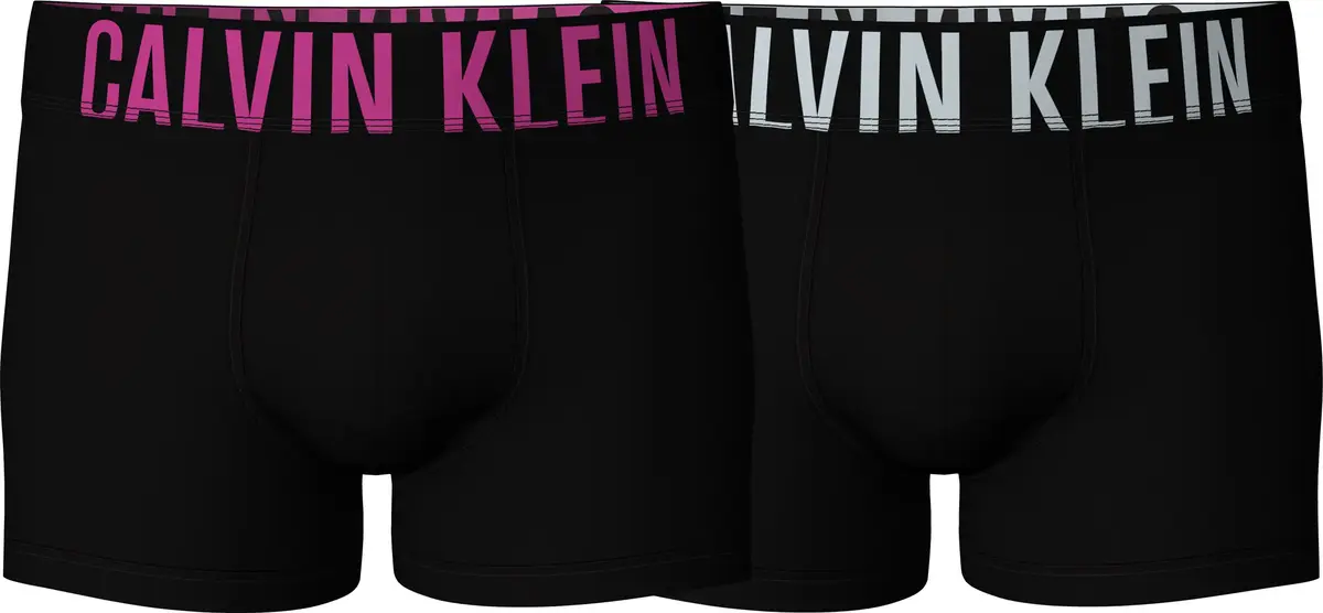 Calvin Klein TRUNK 2PK Erkek Siyah Boxer Set