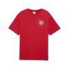 Puma SUNSET DRIVE Relaxed Tee Kırmızı Erkek T-Shirt
