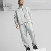 Puma BMW MMS Monochrome Jacket Flat Erkek Gri Fermuarlı Sweatshirt