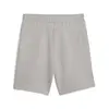 Puma EVOSTRIPE Shorts Gri Erkek Şort