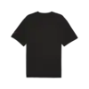 Puma Rival Rage Tee 5 Siyah Erkek T-Shirt & Polo