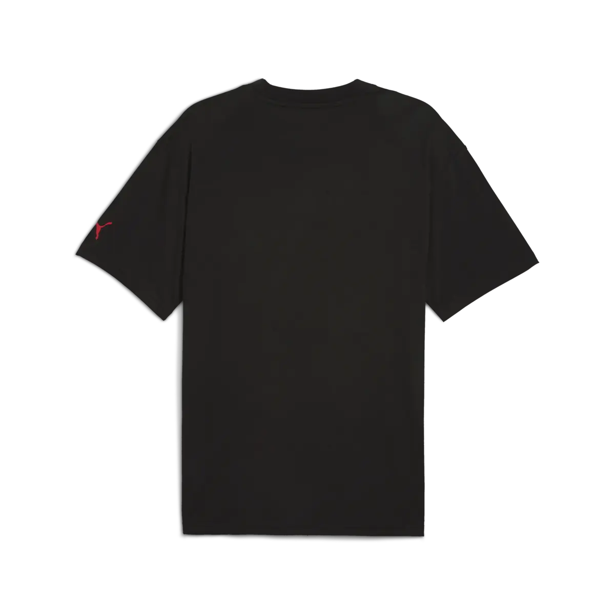Puma Rival Rage Tee 5 Siyah Erkek T-Shirt & Polo
