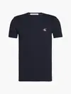 Calvin Klein Siyah Erkek T-Shirt & Polo