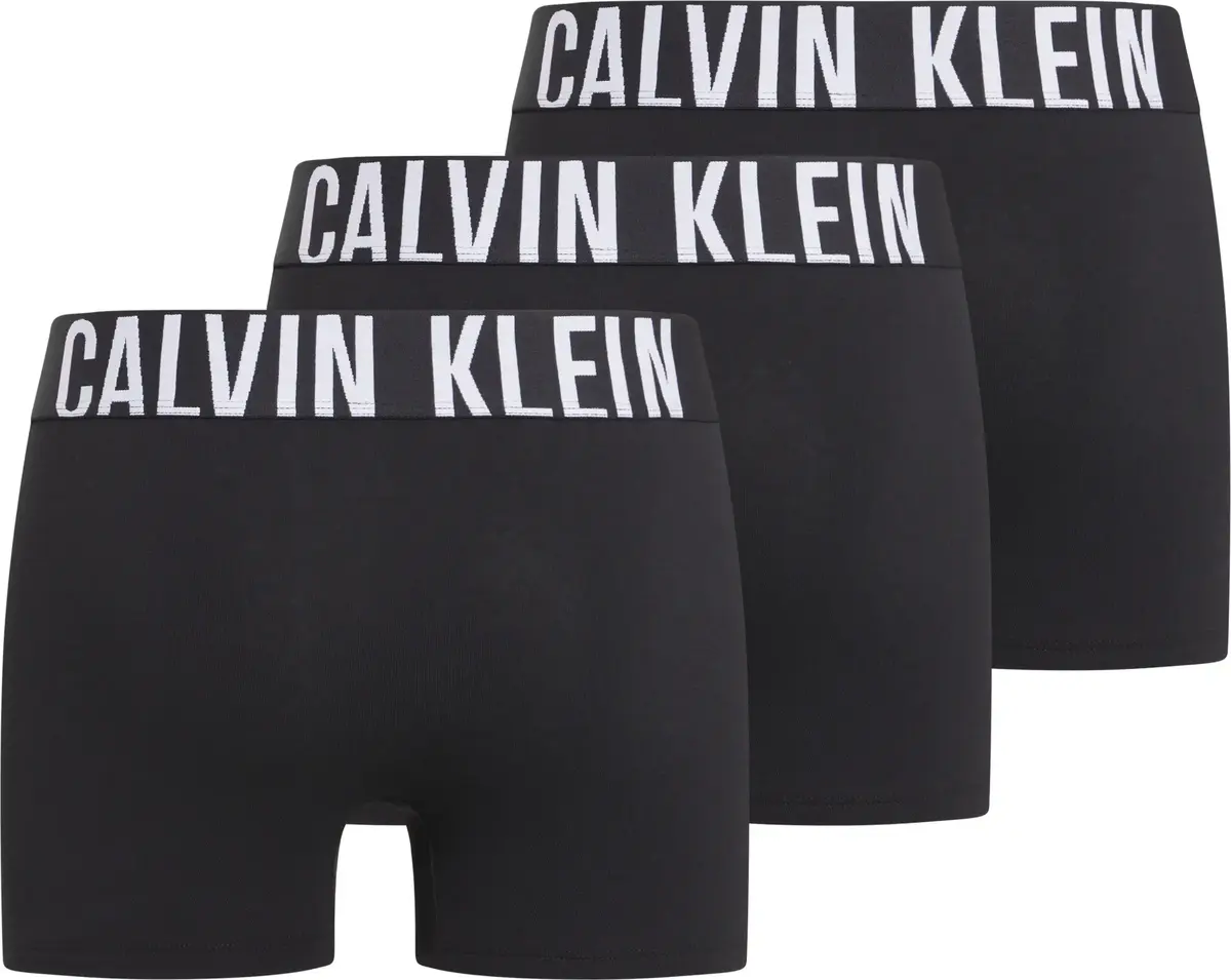Calvin Klein TRUNK 3PK Erkek Siyah Boxer Set