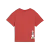 Puma X HK&FR Graphic Tee Kırmızı Kız Çocuk T-Shirt & Polo