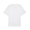 Puma PL Lifestyle Tee Beyaz Erkek T-Shirt