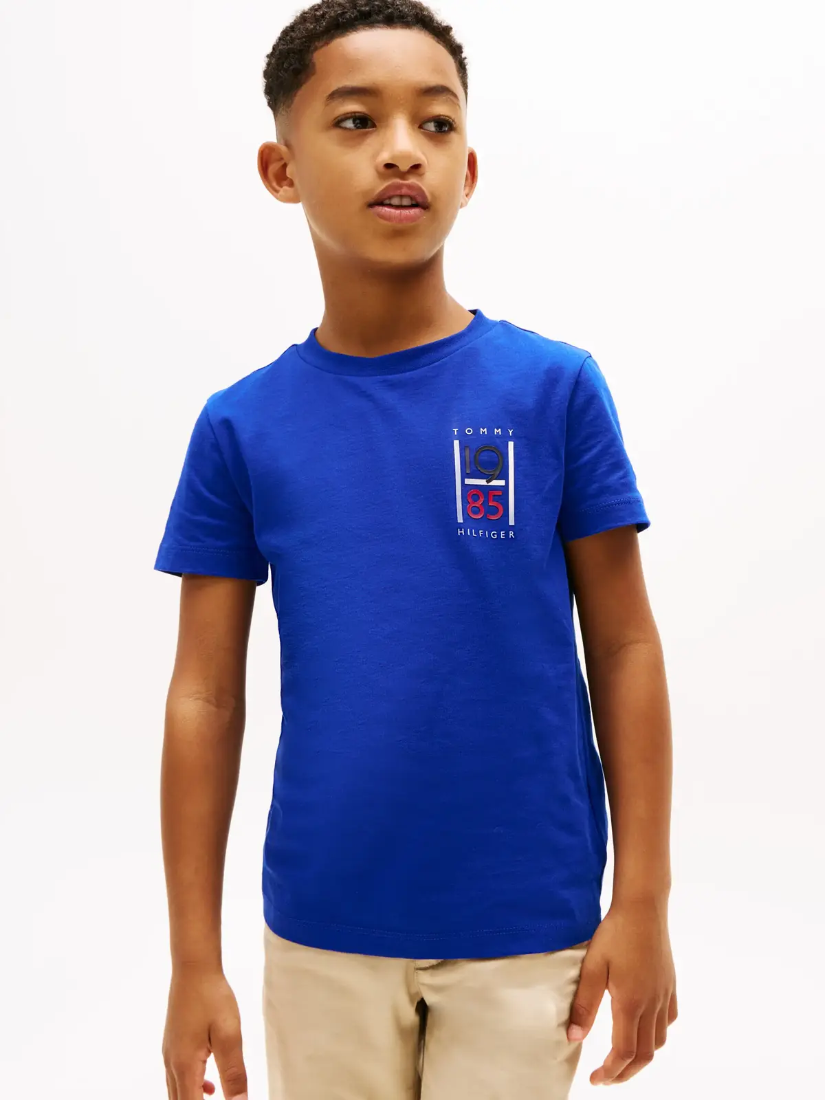 Tommy Hilfiger TH GRAPHIC REG TEE S, D03 Lacivert Erkek T-Shirt & Polo