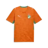 Puma FIF Home Jersey Replica Turuncu Erkek Forma