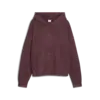 Puma FUTURE.PUMA.ARCHIVE Hoodie Erkek Sweatshirt