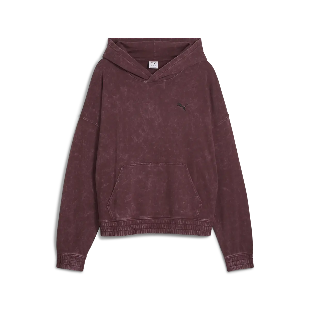 Puma FUTURE.PUMA.ARCHIVE Hoodie Erkek Sweatshirt
