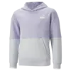 Puma POWER Colorblock Hoodie Kadın Sweatshirt
