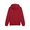Puma GSK FtblESS Hoodie FL GALATASARAY FtblESSENTIALS Erkek Kapüşonlu SWEATSHIRT