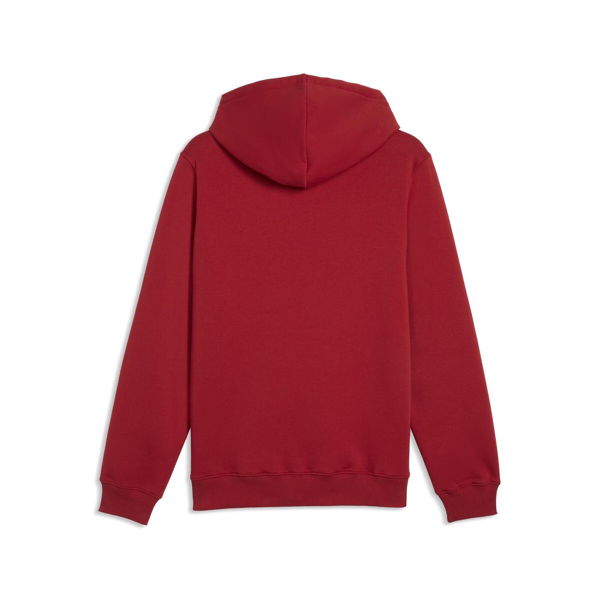 Puma GSK FtblESS Hoodie FL GALATASARAY FtblESSENTIALS Erkek Kapüşonlu SWEATSHIRT