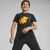 Puma X Pokemon Tee Kids Siyah Erkek Çocuk T-Shirt