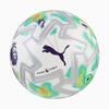 Puma Ultimate PL Thrill FIFA Pro Futbol Topu