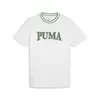 Puma SQUAD Big Graphic Tee Beyaz Erkek T-Shirt