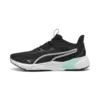 Disperse XT 4