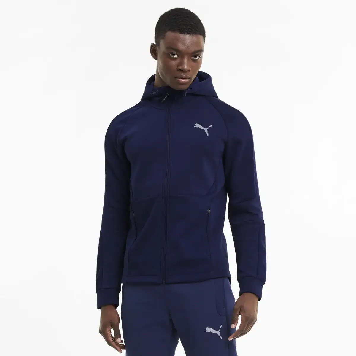 Puma Evostrıpe Core Fz Hoodie Siyah Erkek Hoodie