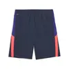 Puma IndividualLIGATrainingShorts Lacivert Erkek Şort