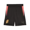 Puma Neymar JR COPA Shorts Siyah Erkek Şort