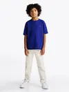 Tommy Hilfiger ESSENTIAL TEE SS, D03 Lacivert Erkek Çocuk T-Shirt & Polo