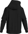 Calvin Klein SEASONAL MONOLOGO RE Erkek Siyah Hoodie