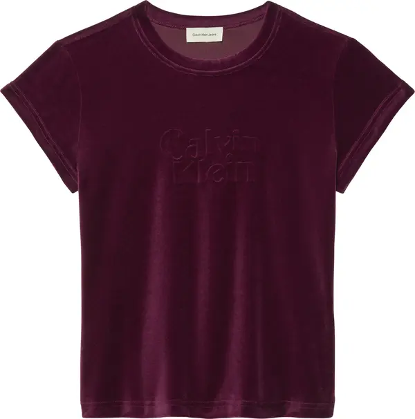 Calvin Klein SS VELOUR LOGO TEE Kadın Kahverengi T-Shirt