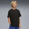 Puma X SONIC Graphic Tee Siyah Erkek T-Shirt & Polo