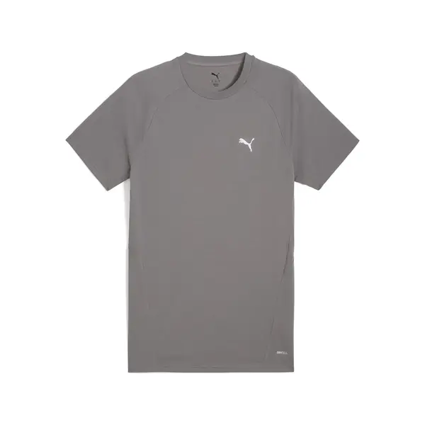 PUMA EVOSTRIPE Tee Gri Erkek T-Shirt