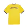 Puma BVB Home Jersey Sarı Erkek Takım Forması