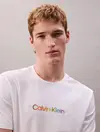 Calvin Klein SS 20s CALVIN KLEIN Beyaz Erkek Tişört