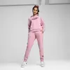 Puma ESS+ ANIMAL Hoodie FL Kadın Sweatshirt