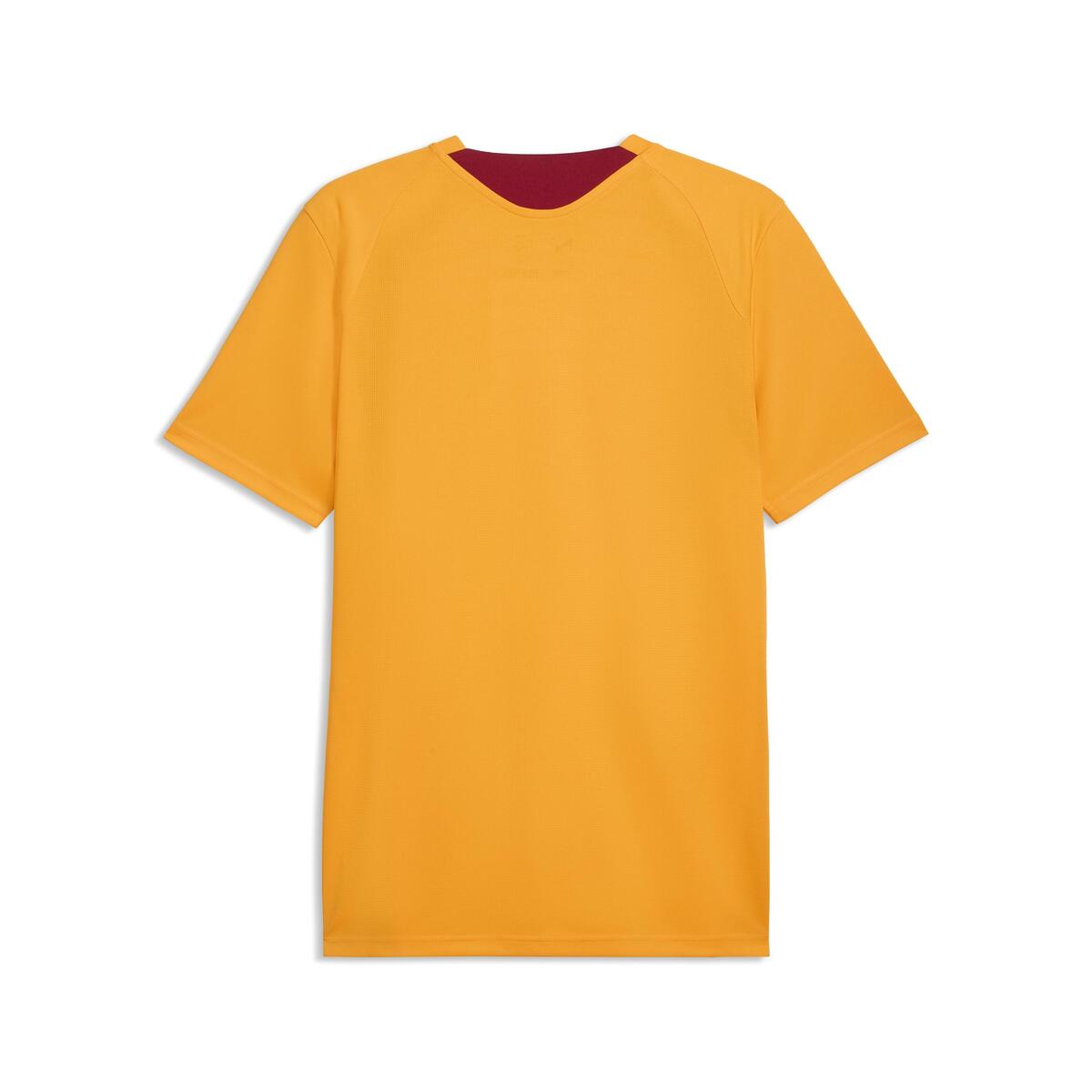 Puma GSK Training Jersey GALATASARAY Erkek Antrenman Forması