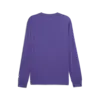 Puma Hoopstel LS Tee Erkek Mor Basketbol Sweatshirt