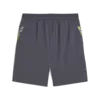 Puma individualCUP Shorts Gri Erkek Şort