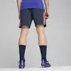 Puma IndividualLIGATrainingShorts Lacivert Erkek Şort